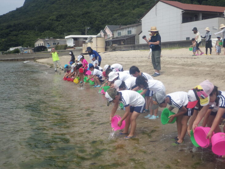 高松市屋島の浦生海岸で 稚魚放流