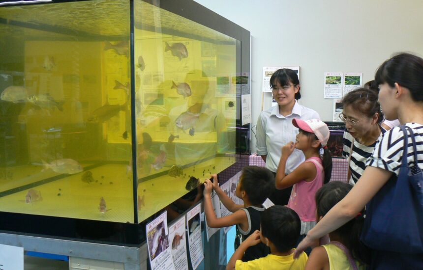 大きな世界へつながるミニミニ水族館