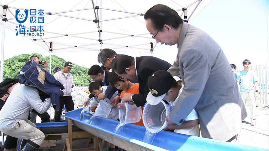 サワラを守れ！サワラ放流祭