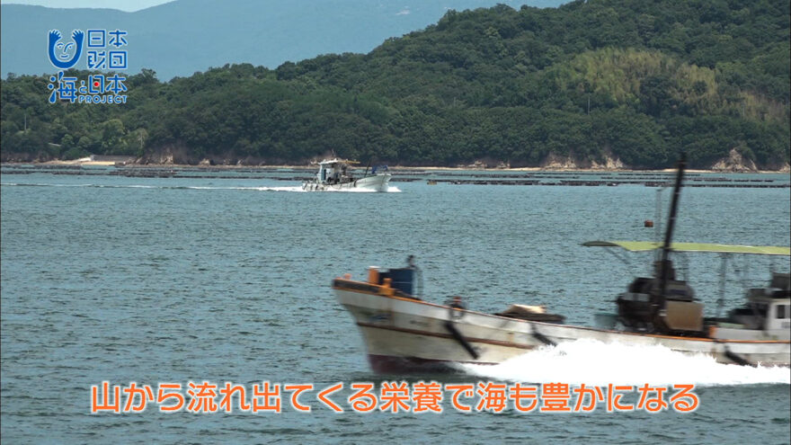 豊かな海のために森づくり🌳🌲🌳