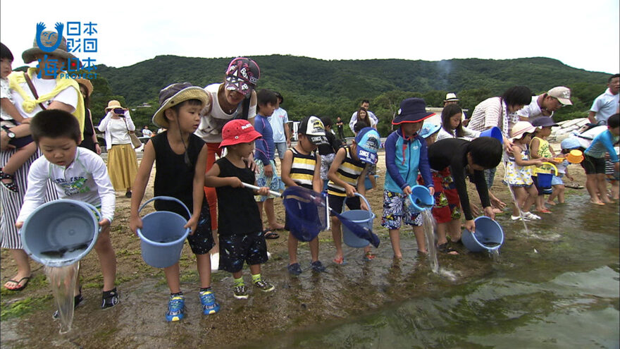 元気に育て🐟稚魚放流