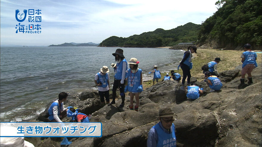 さぬきの海辺を守ろうプロジェクト