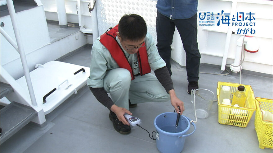 瀬戸内海水質調査を取材