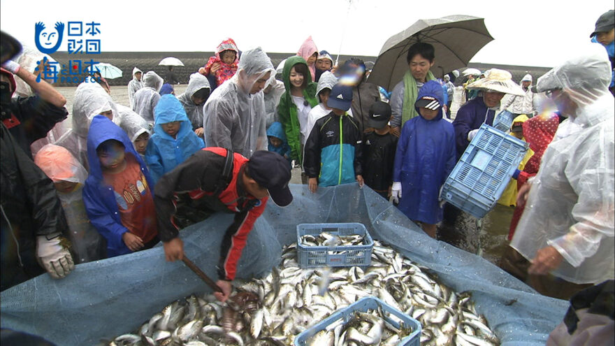 伝統漁法🐟地引網を体験