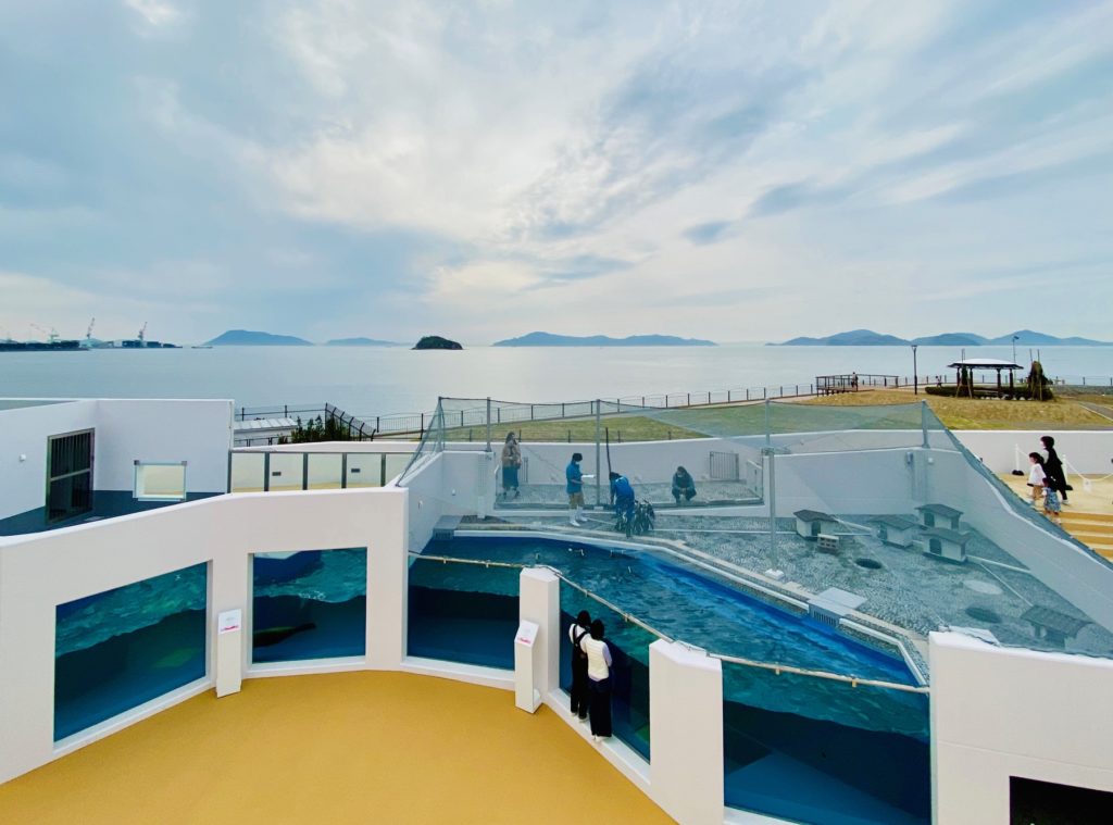 水族館 四国 ダイナミックな水槽に工夫の凝らされた展示…「四国水族館」が目指す新しい水族館の未来