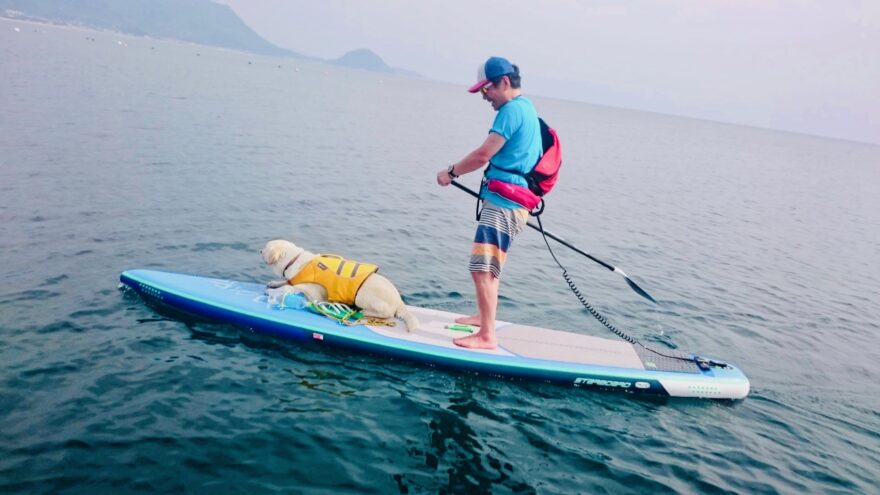 穏やかな瀬戸内海をスイスイ…SUP（サップ）を楽しもう