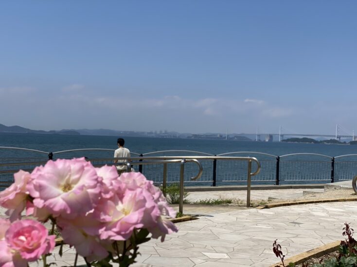 うたづ臨海公園で海を感じながら遊ぼう