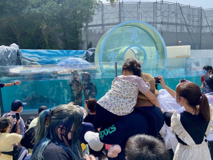 夏休み！海の生き物に逢いに‥新屋島水族館