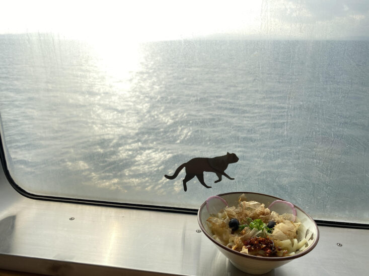 海の上で食べるにゃんこうどん