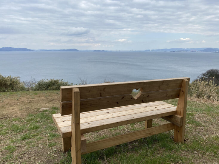 パワースポット志々島の大楠