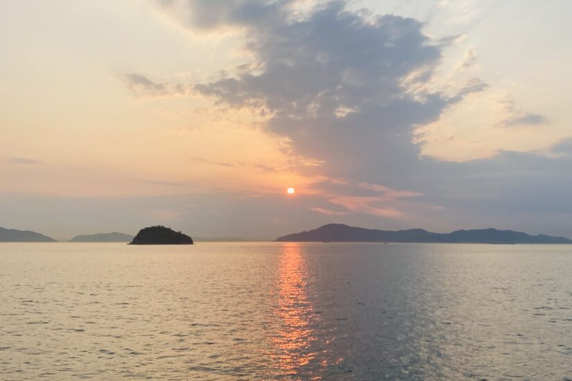 アジサイも見ごろのうたづ臨海公園でのんびり