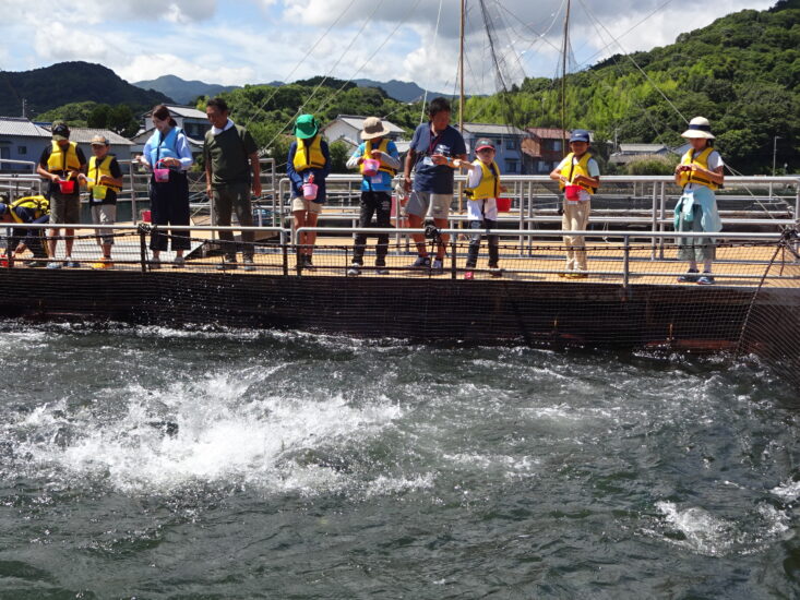 「かがわｓｅａマスター 海のええもん見っけ隊」 隊員大募集！！！