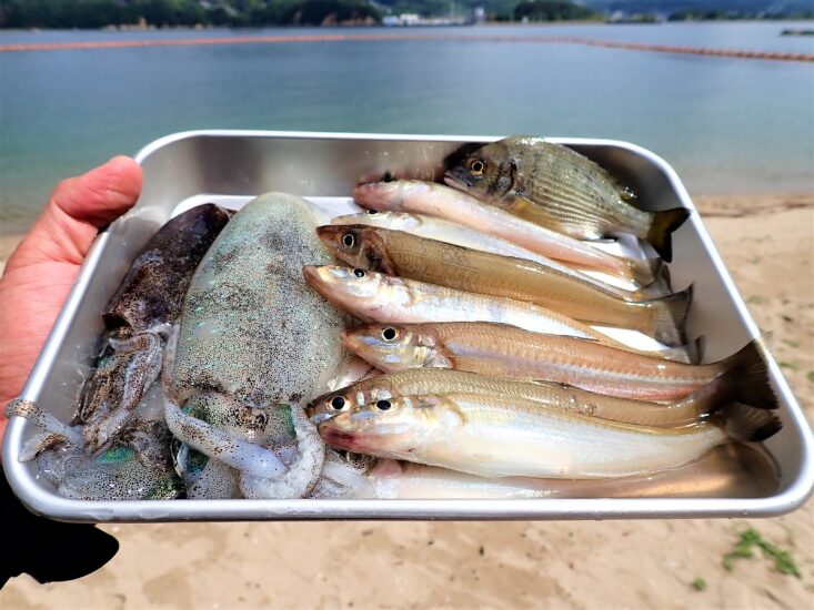 無人島でキス釣り＆キスの天ぷらを味わう