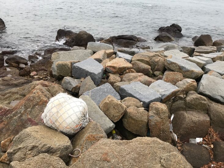 久々に戻ってきました！soicceriaビーチクリーン＠沙弥島海水浴場