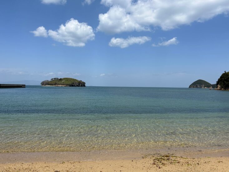 地元の海でまさかの出会い！大好きなもずく！