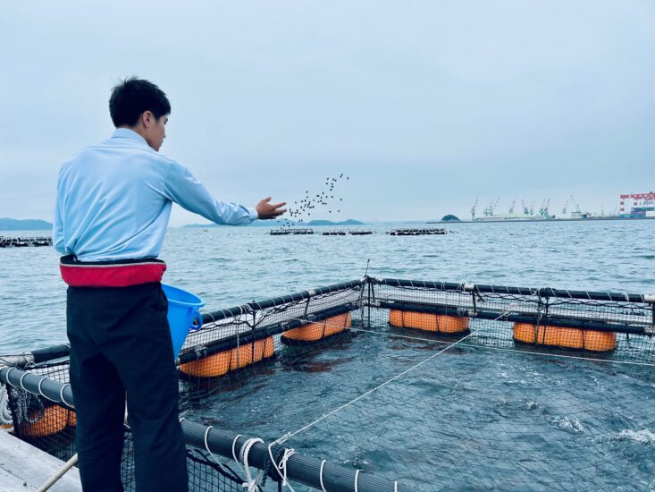 高校生が開発！SDG’ｓな養殖マダイ🐟