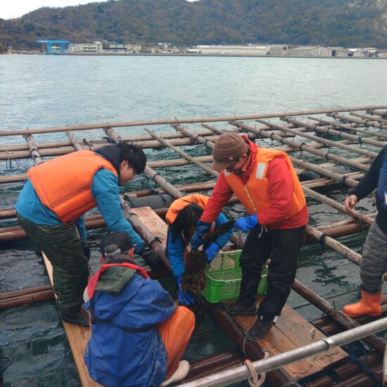 牡蠣狩りイベントって珍しい