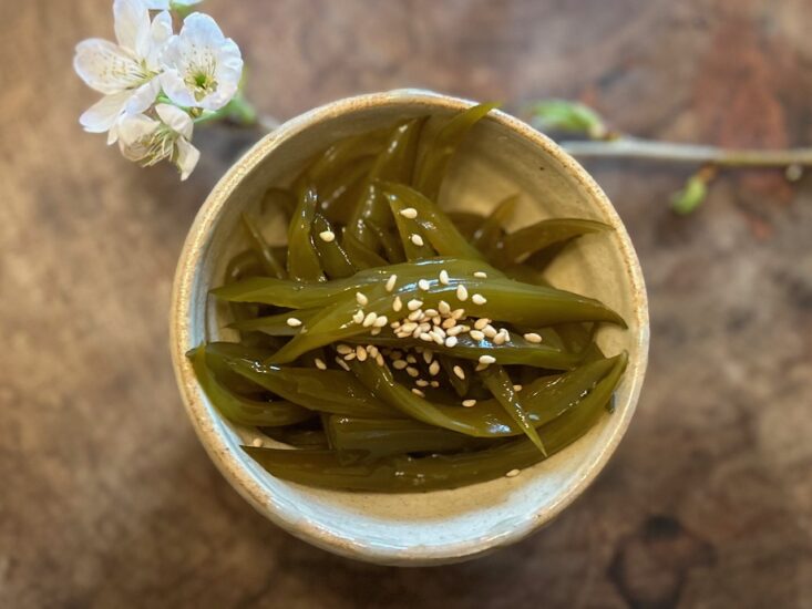 春の海の幸！ワカメを食べよう