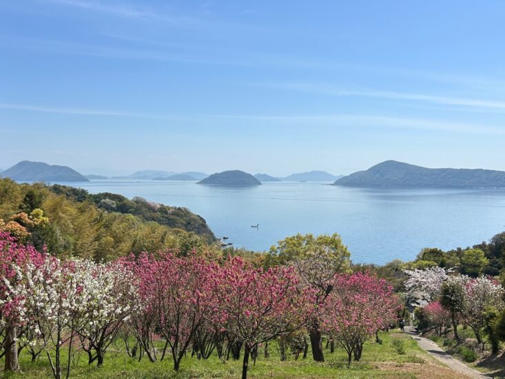 丸亀市沖「小手島（おてしま）」の桃源郷