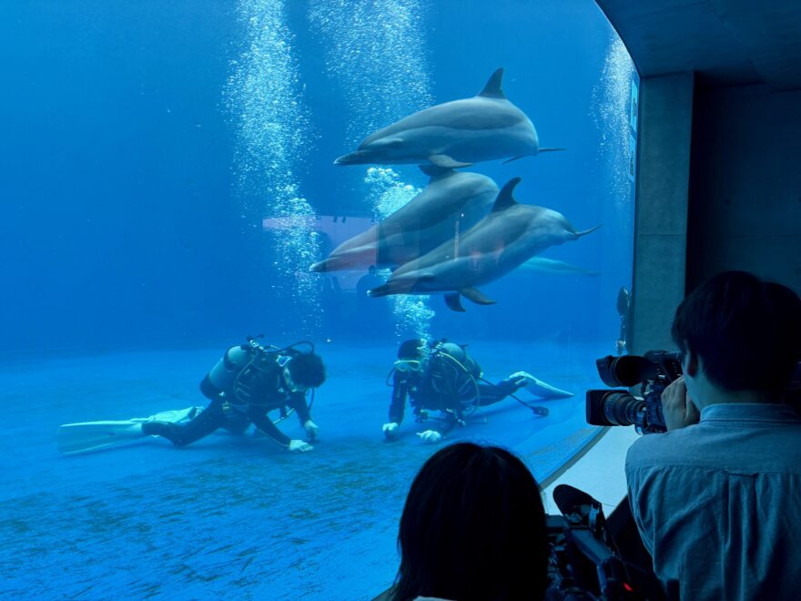 四国水族館のイルカプール・・高校生が清掃を