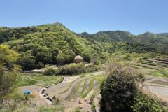 『ベスト・ツーリズム・ビレッジ』に認定！「小豆島」小豆島町・土庄町